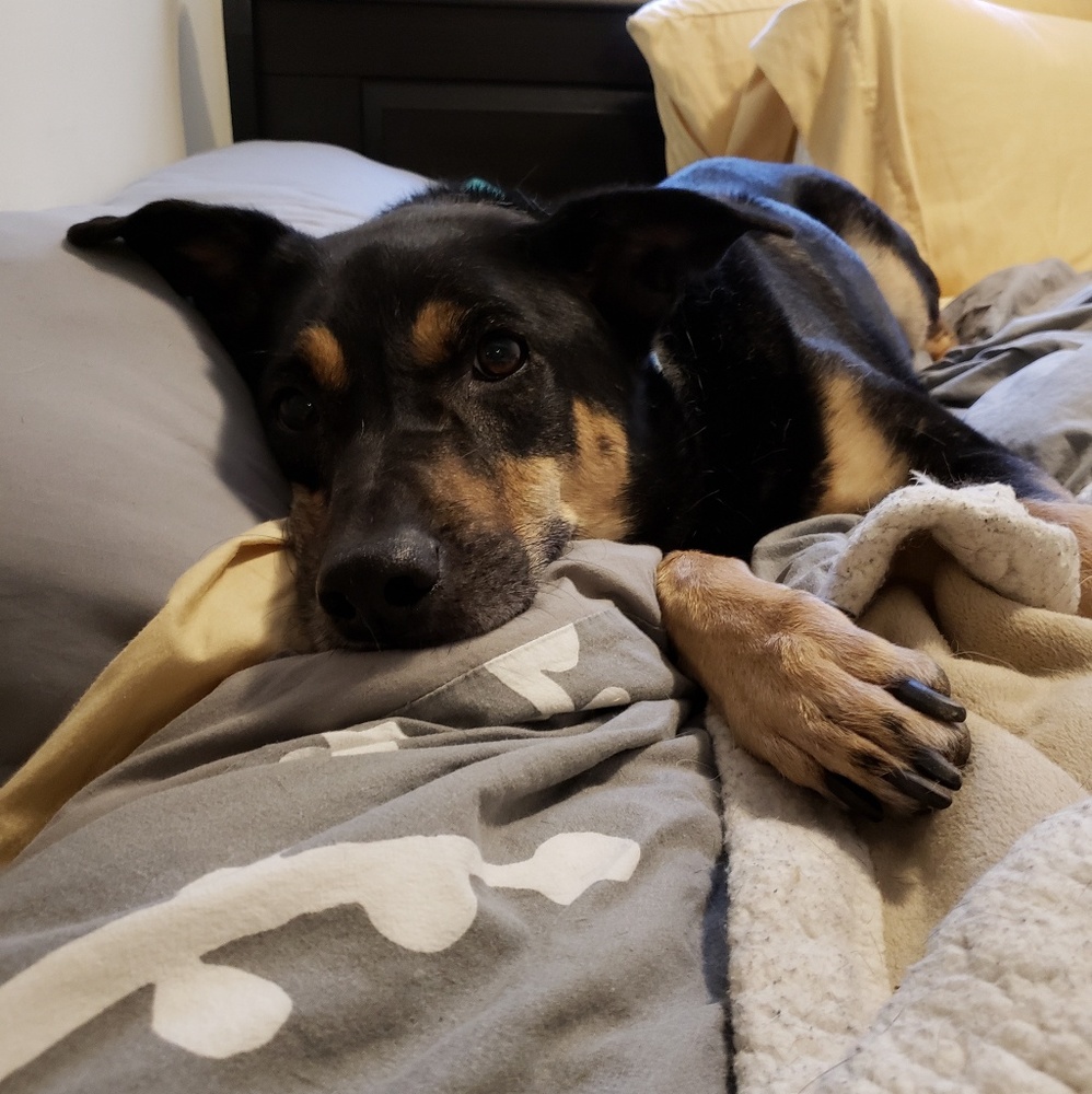 Meet your Posher, Elizabeth